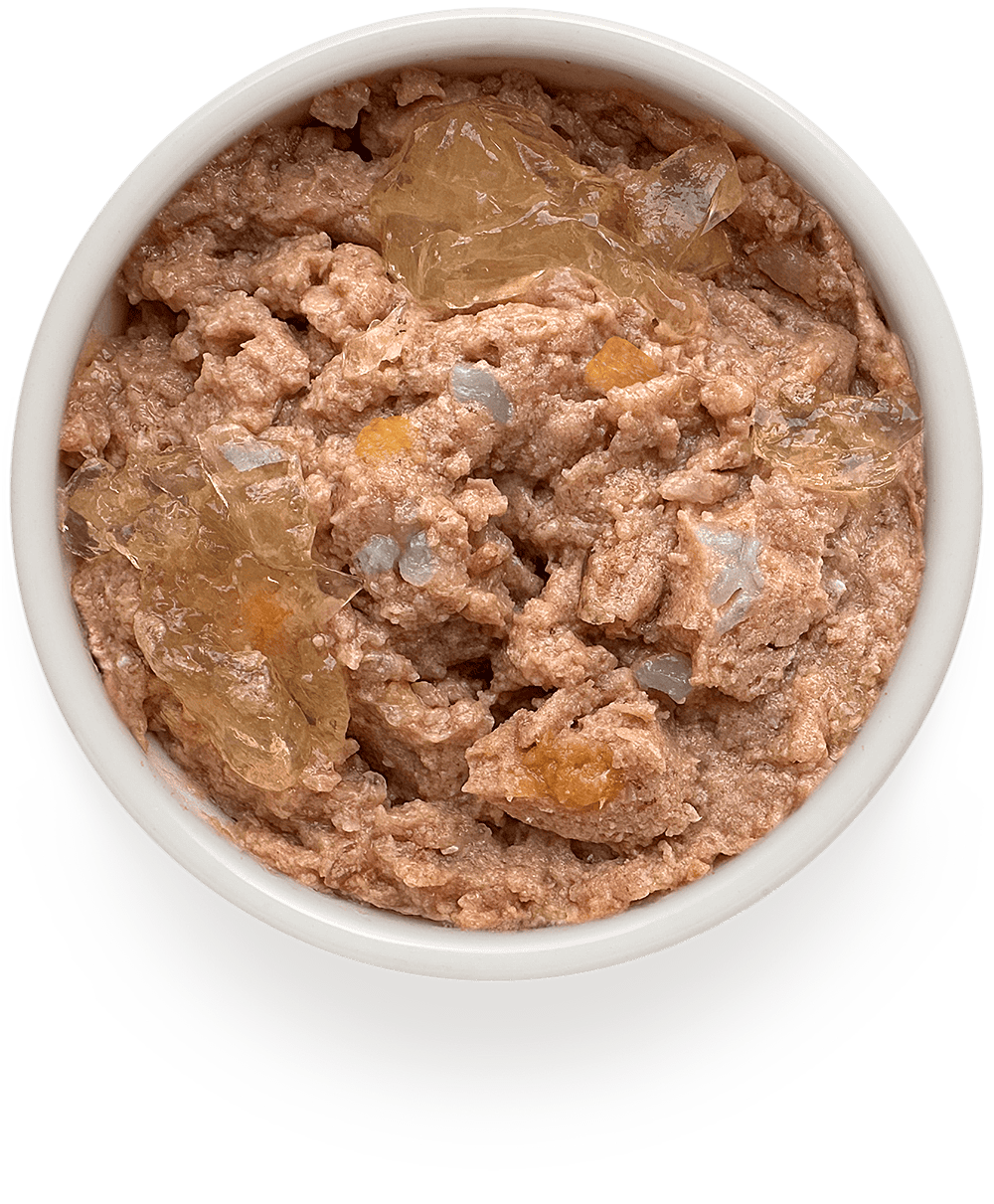 Монопротеиновый влажный корм GRANDORF FRESH для собак всех пород из утки с бататом и цветной капустой 200г