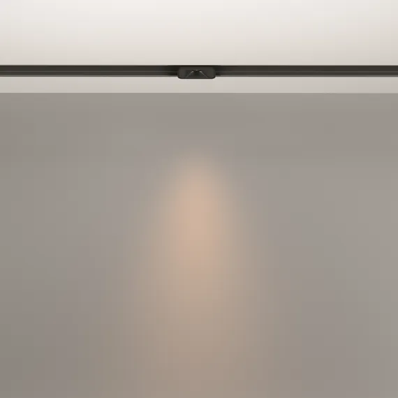 Трековый светильник Technical TR100-2-2W3K-S-B