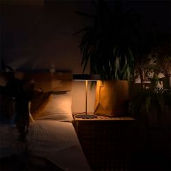 Декоративная настольная лампа Arte Lamp