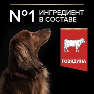 Сухой корм Pro Plan DuoDelice для взрослых собак мелких и карликовых пород с превосходным вкусом и двойной текстурой гранул с говядиной