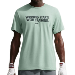 Мужская теннисная футболка Nike Dri-Fit Winning - steam/dark smoke grey