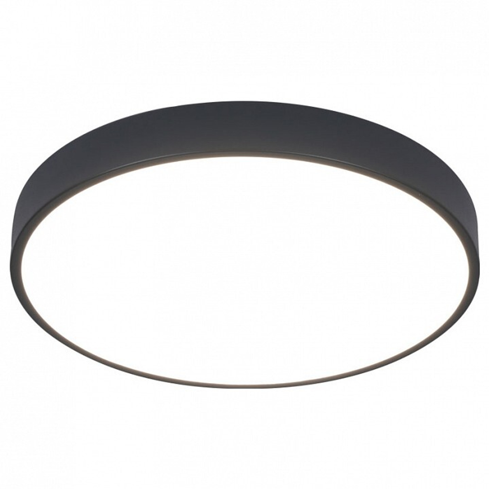 Накладной светильник Arte Lamp Arena A2661PL-1BK