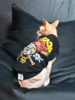 Одежда для кошек сфинкс