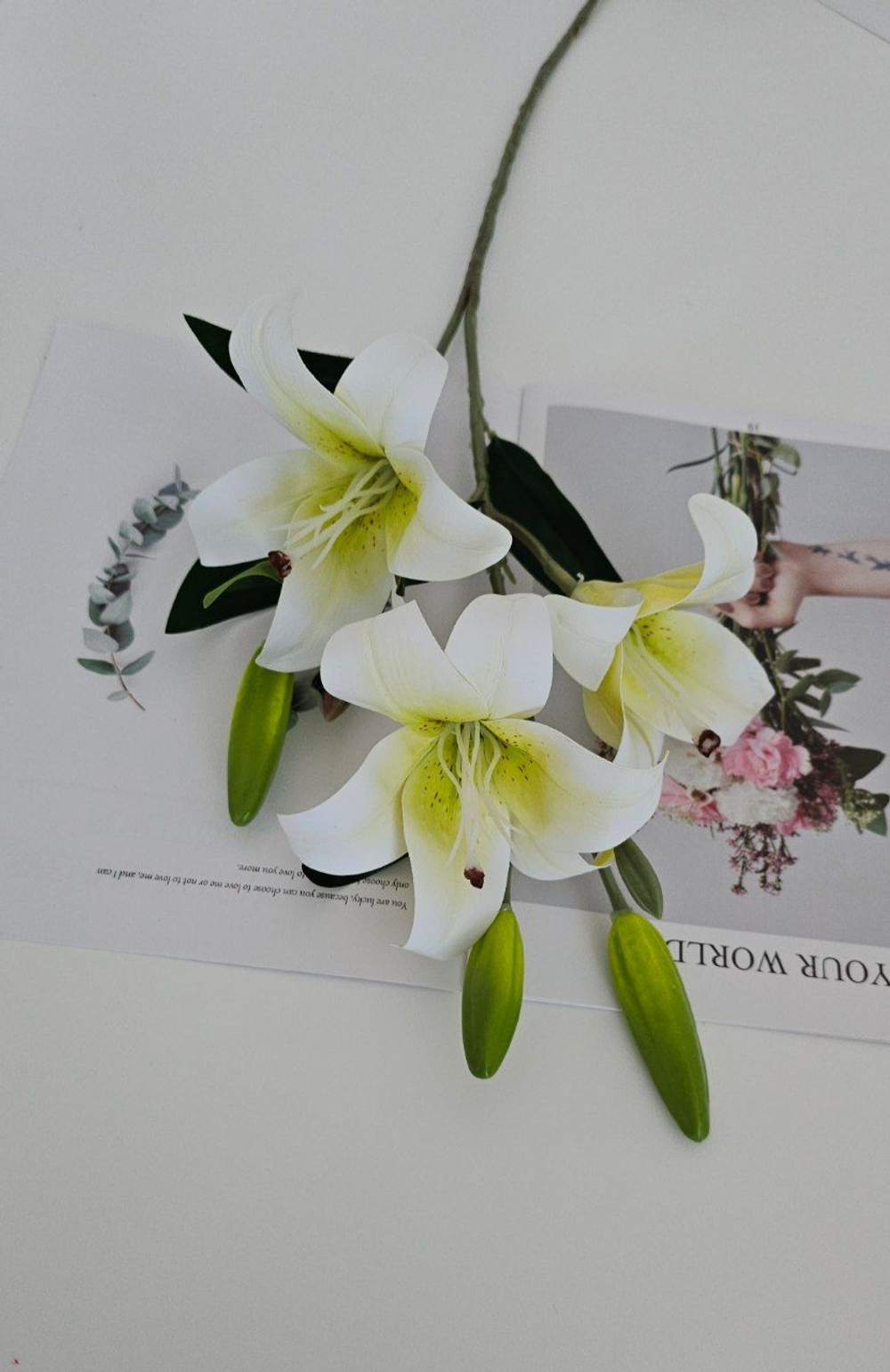 Лилия / Арт 2188