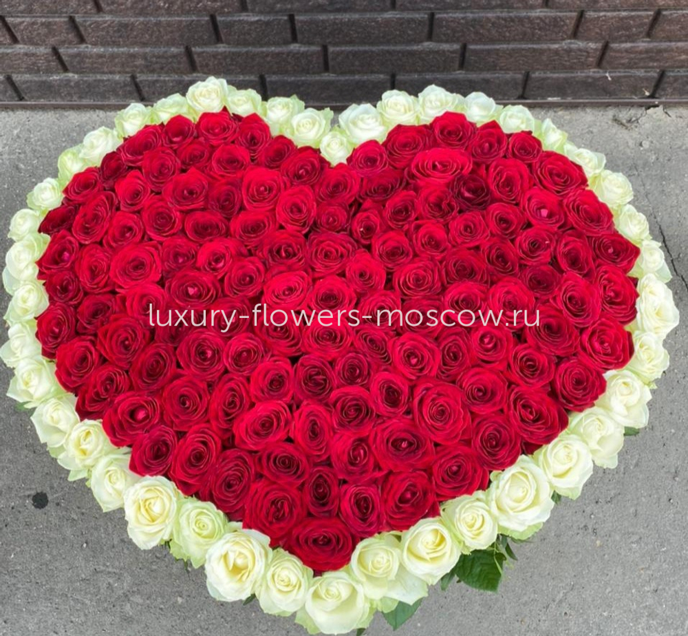 225 роз сердце с белым контуром