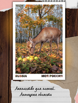 Моя Россия. Осень (выпуск №4, 2024)