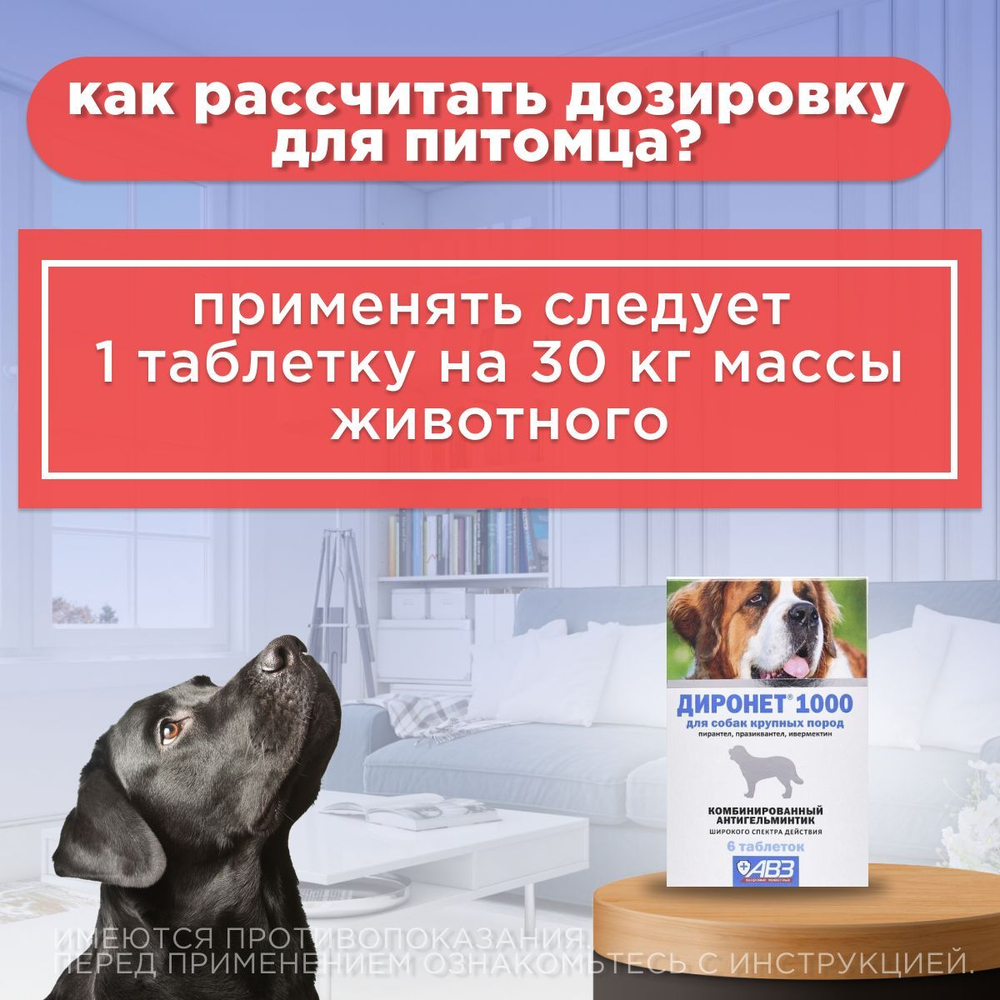 Таблетки против гельминтов АВЗ ДИРОНЕТ 1000 для собак крупных пород, 6 таблеток