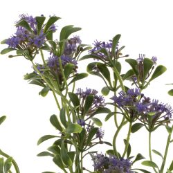 GAEM Цветок искусственный, L10 W10 H37 см, 4в.