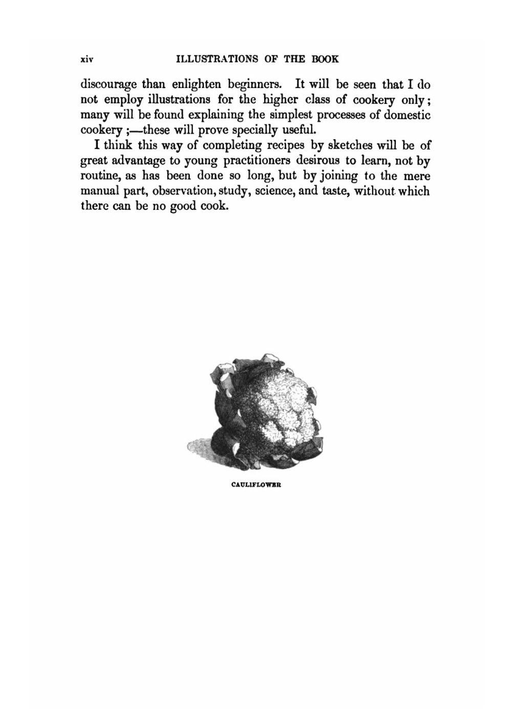 The Royal Cookery Book. (Le Livre De Cuisine) | Jules Gouffé