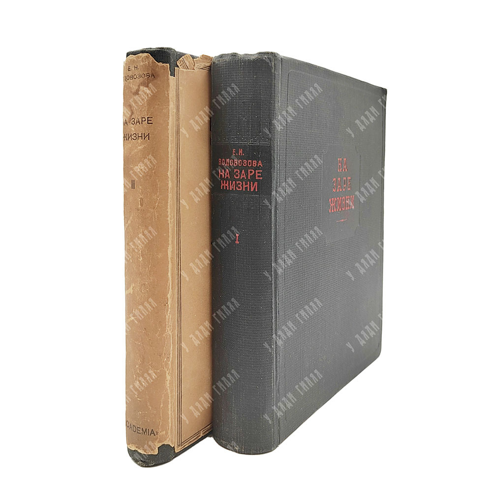 Водовозова Е.Н. На заре жизни и другие воспоминания. В 2 т. Т. 1-2. Academia, 1934.