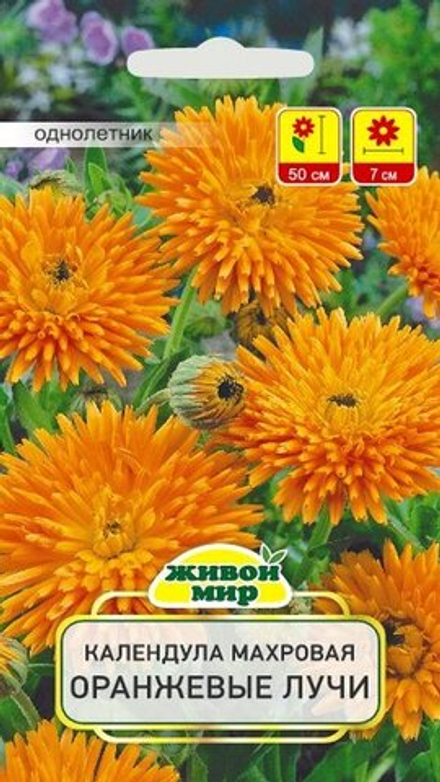 Kaлeндyлa "ЖМ. Opaнжeвыe лyчи" 2г., Германия.