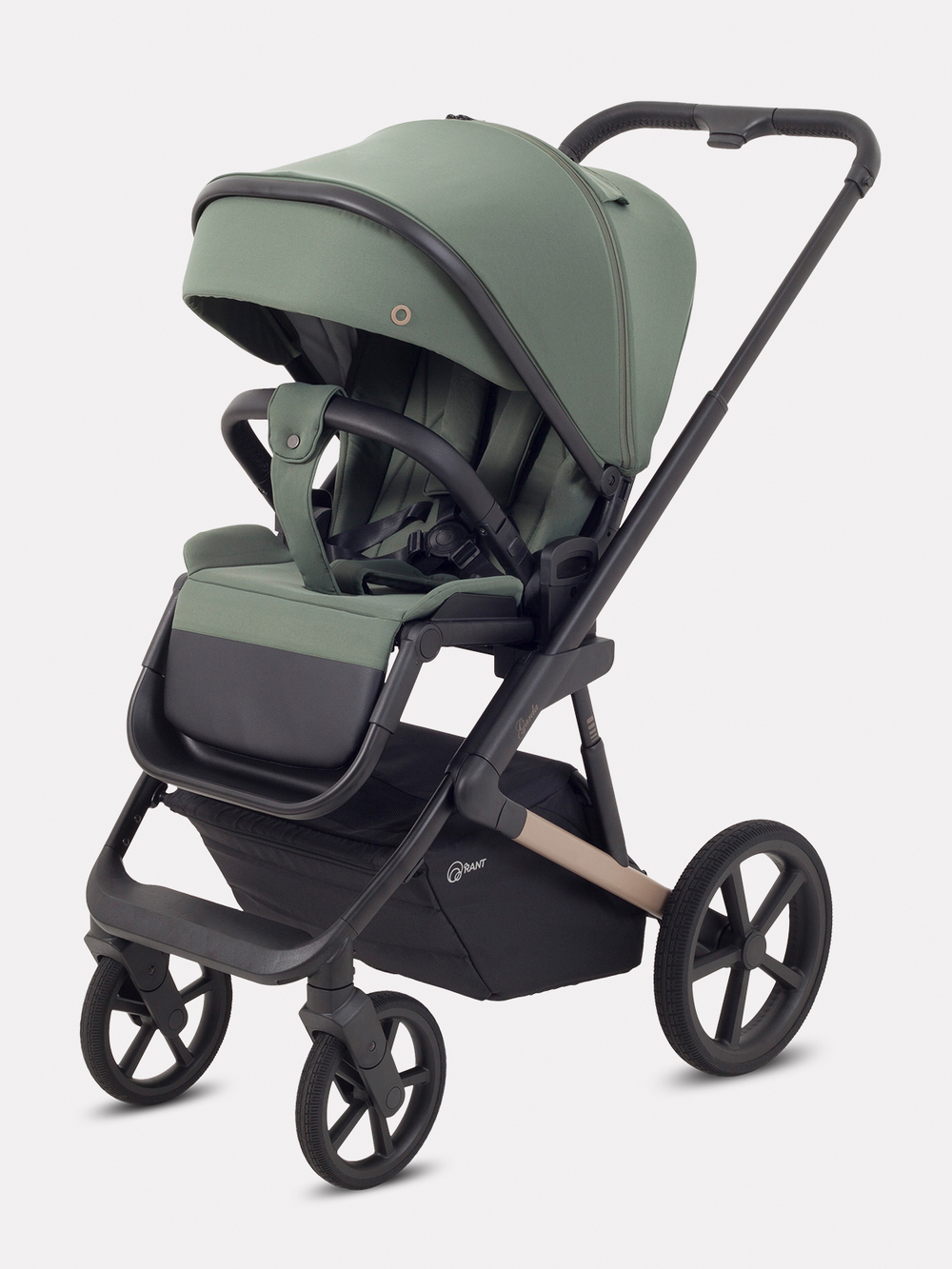 Коляска 2 в 1 Rant Garda