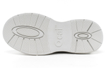 Ocai Canvas