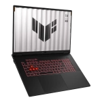 Ноутбук Asus TUF Gaming A18 FA808UP-S8030 (90NR0NL1-M001L0)
