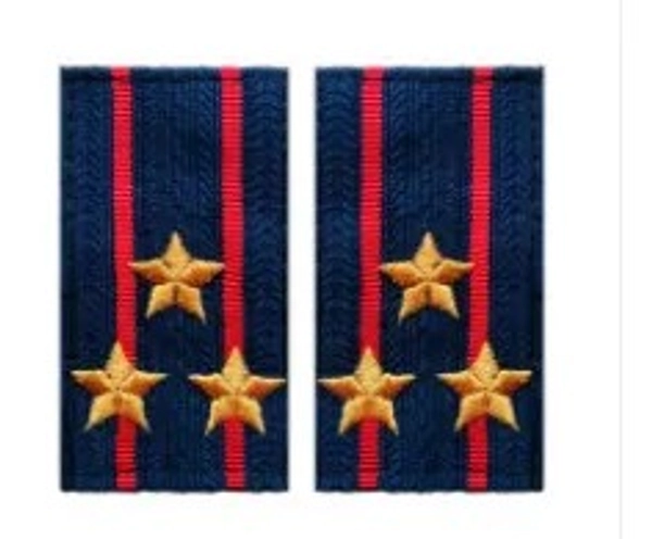 Фальшпогоны вышитые БлокПОСТ полиция полковник (синие)