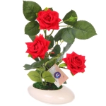 Цветочная композиция «Розовый восторг» 25см в горшке, цвет красный