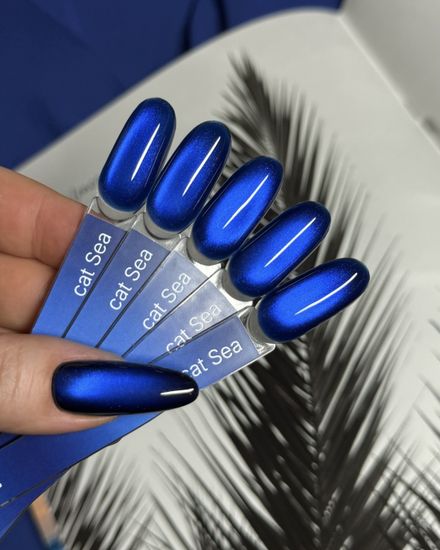 Sea cat color gel Iperfect 10g