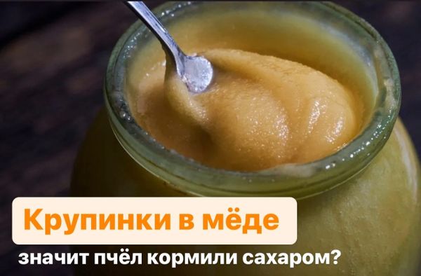 КРУПИНКИ В МЁДЕ