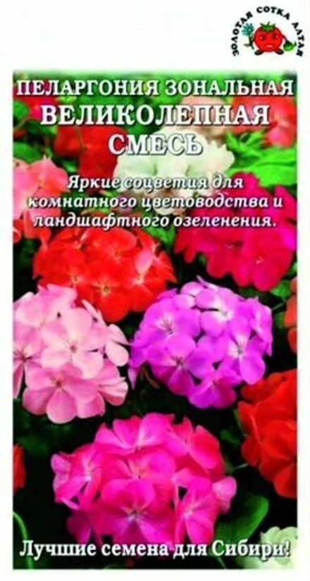 Пеларгония великолепная см