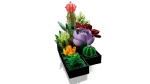 Конструктор LEGO Botanical Collection 10309 Суккуленты