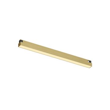Светильник на шине 10W 2700-6000К DK5951-SB латунь SHINE LINEAR Zigbee Denkirs