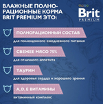 Влажный корм для котят Brit Premium 0,085кг белая рыба в соусе пауч 14 шт