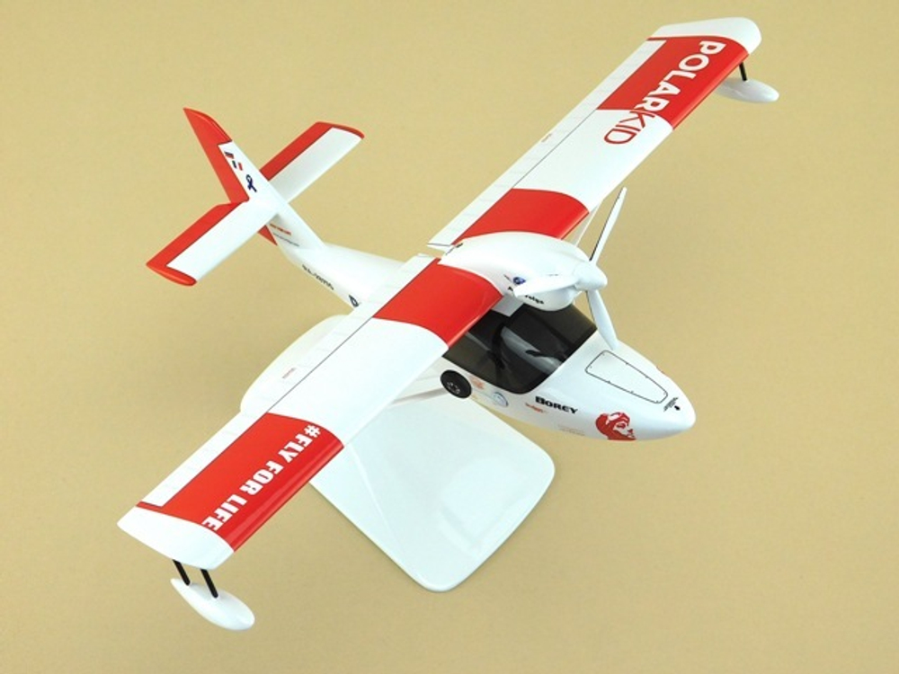 Модель самолета Borey (М1:32, Аэроволга)