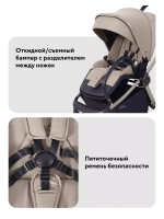 Коляска 2 в 1 Rant Flex Soft Therm