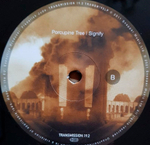 Porcupine Tree / Signify (2LP)