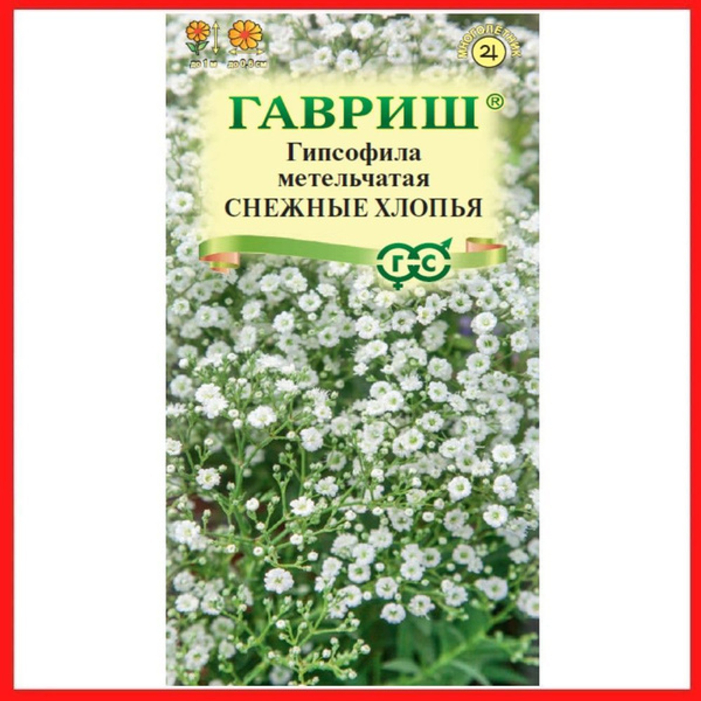 Гипсофила Снежные хлопья метельч. 0,05г Ц Гавриш