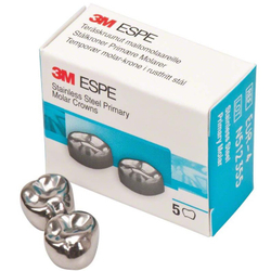 Второй верхний правый моляр, размер 4 (E-UR-4)