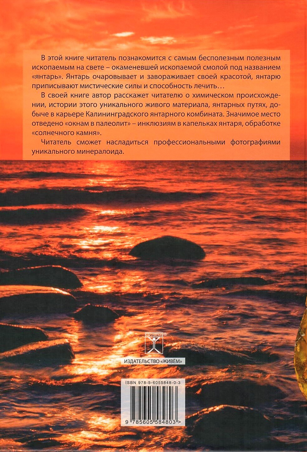 Янтарь солнечного берега