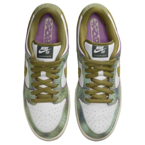 Кроссовки для скейтбординга NIKE Dunk - это низенькие спортивные кроссовки