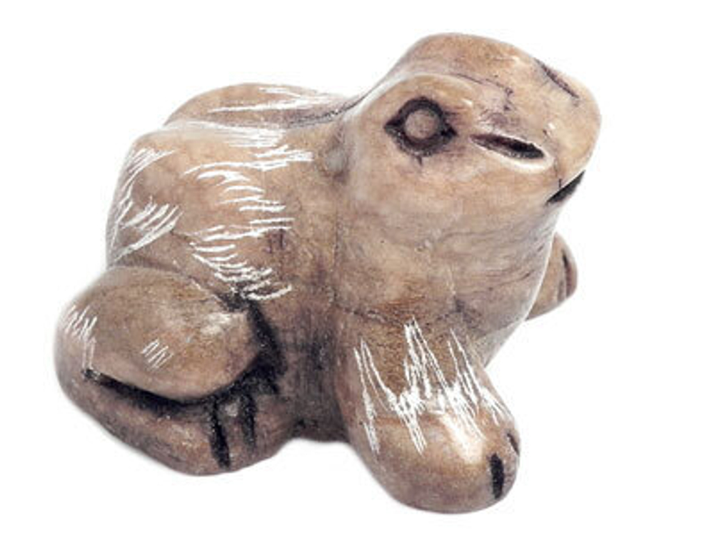 Лягушка кальцит асс.