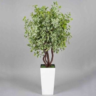 Деревья и растения Премиум качества