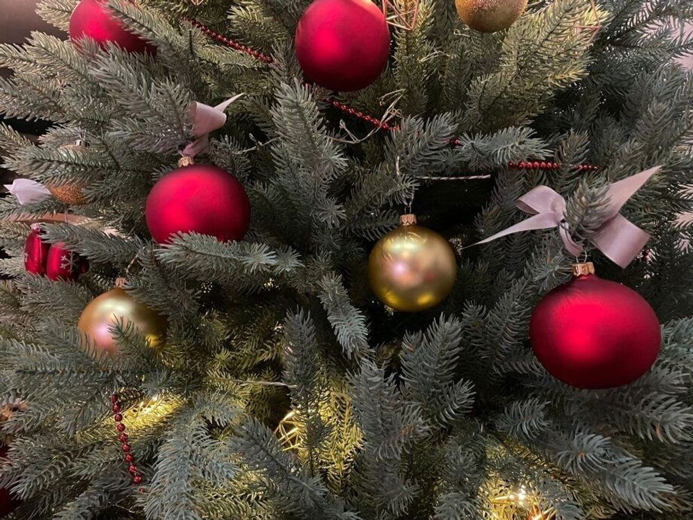 Ель искусственная голубая «Марселло» (Литая хвоя) 240 см / 2.4 м