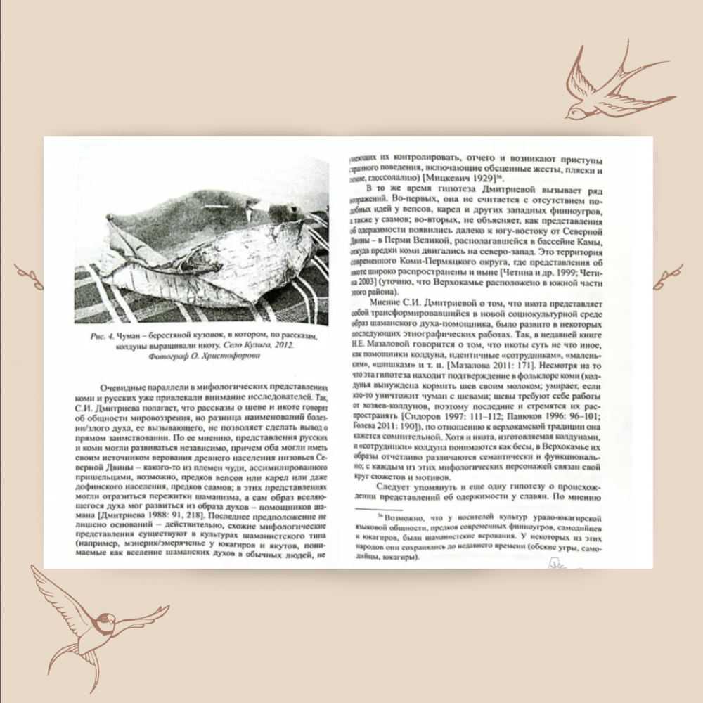 Икота. Мифологический персонаж в локальной традиции. Ольга Христофорова