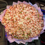 201 пионовидная кустовая