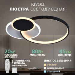 Светильник потолочный светодиодный Rivoli Julia 6080-108 с пультом 80 Вт 4000К - 6000К LED модерн | Rivoli