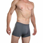 Мужские трусы-боксеры с мелким узором (Размер: M) (Цвет: голубой)