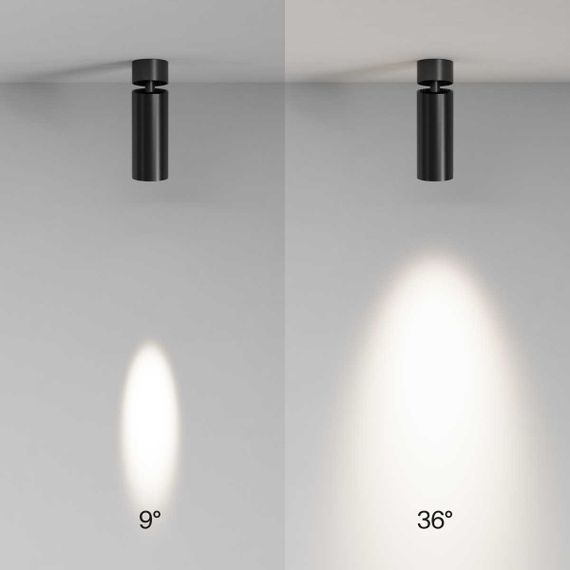 Потолочный светильник Maytoni Technical C055CL-L12W4K-SS-B