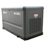 Газовая электростанция Evoline GNG 19000 E GNG19000E