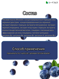 Черника SeedComs комплекс для поддержания зрения, 90капсул