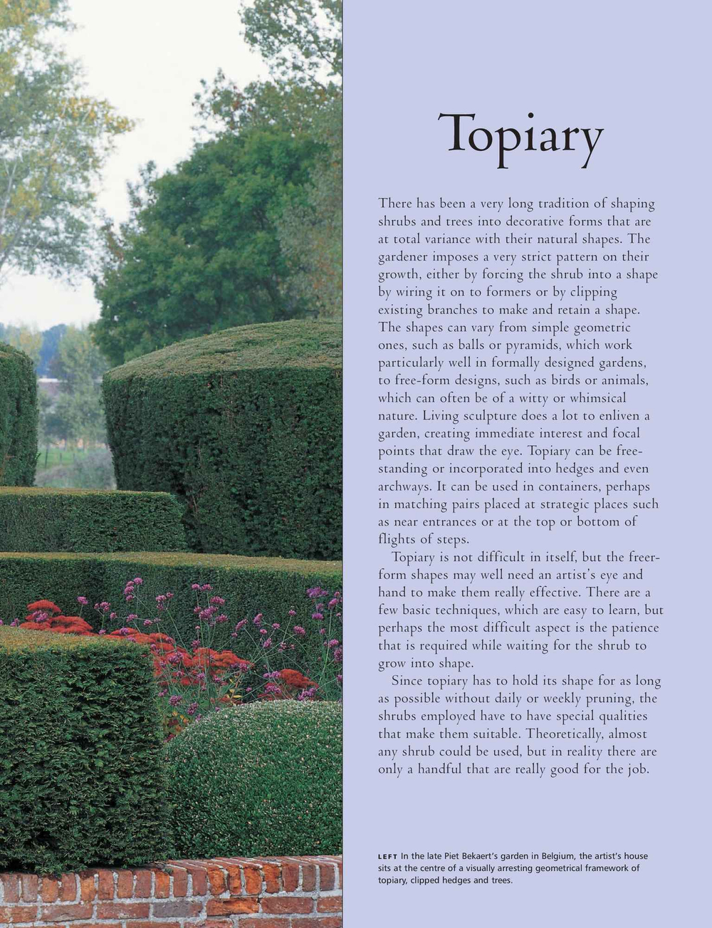 Practical Guide to Pruning, Training and Topiary