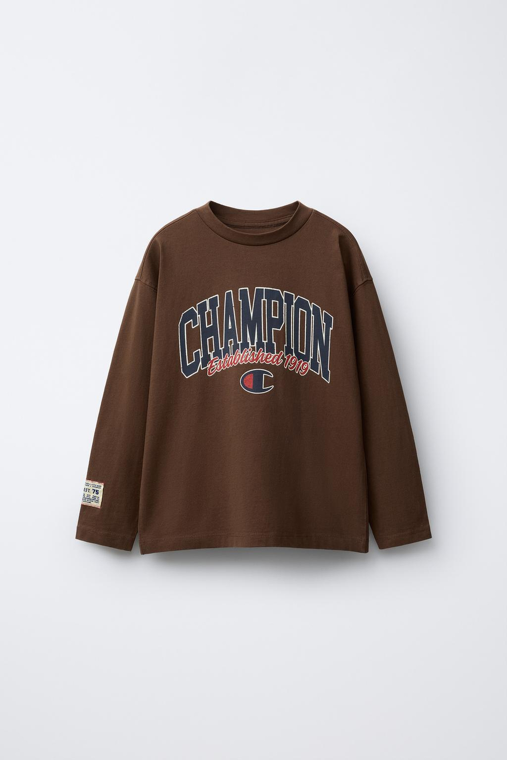 ZARA Х CHAMPION ® ФУТБОЛКА С ПРИНТОМ, КОРИЧНЕВЫЙ