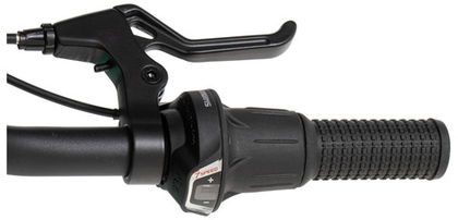 Детский велосипед Welt Floxy 20 (2024)