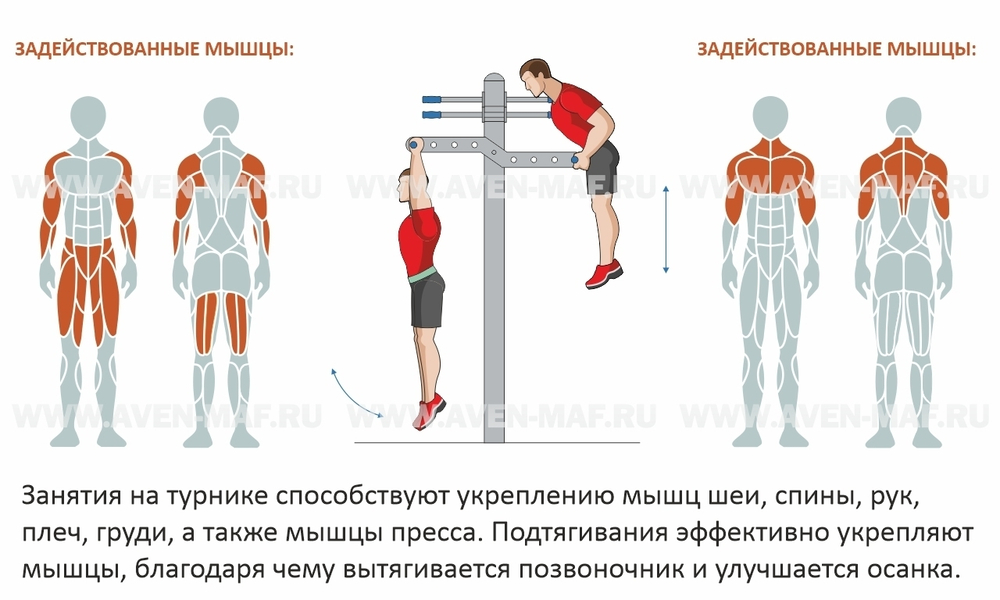 Скамья для пресса двойная