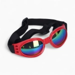 Очки «Cool Rider»