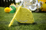 Фотозона "Lemon Party"