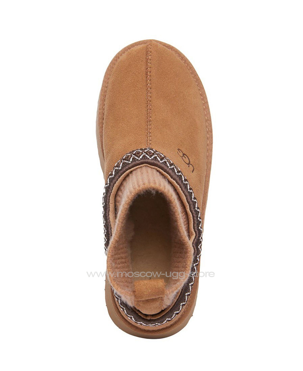 TAZZ KNIT - Chestnut